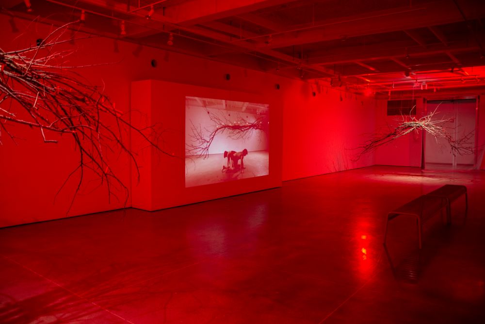 Swan Ferraro installation image 3 - A room in red lighting with tree branches on either side. In the center is a wall with a projection of 2 people