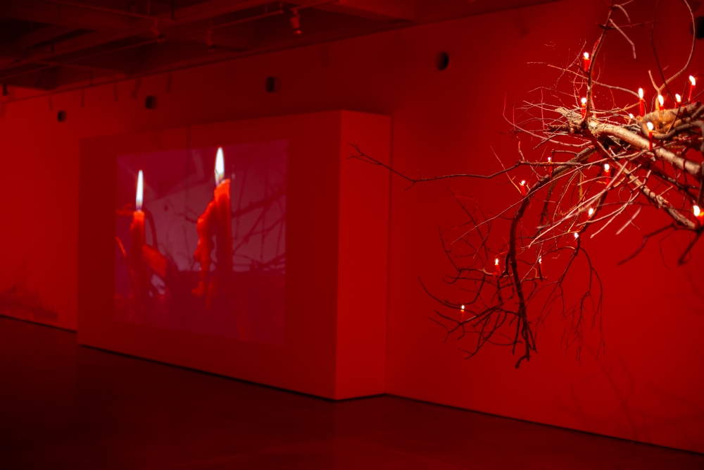 Swan Ferraro installation image 4 - A room illuminated in red with a tree branch on the right covered in candles. To the left is a wall with a projection of lit candles