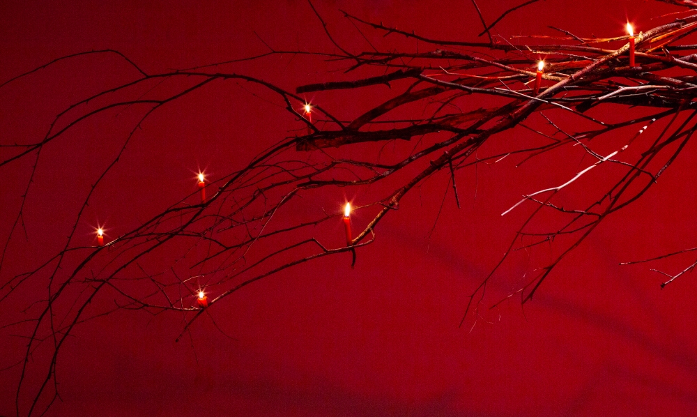 Swan Ferraro installation image 6 - A red illuminated room with a close-up of a tree branch covered in candles