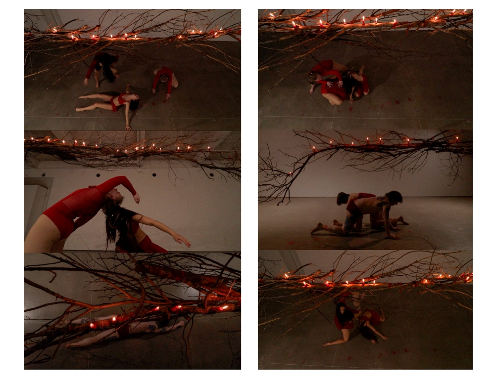 Swan Ferraro installation image 5 - Two panels of people in a dark room posed and illuminated by candles mounted on tree branches