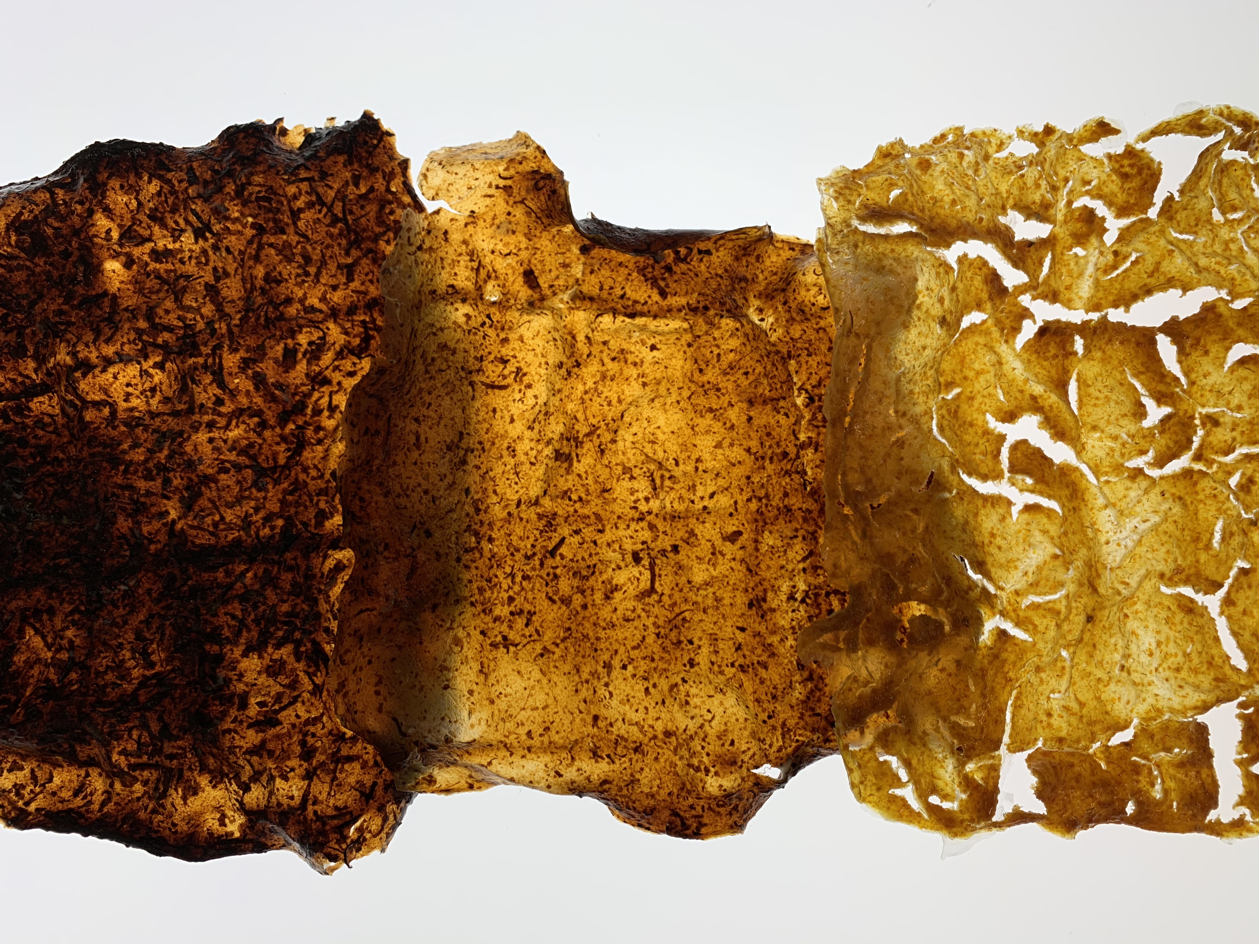 bioplastic art sample 3