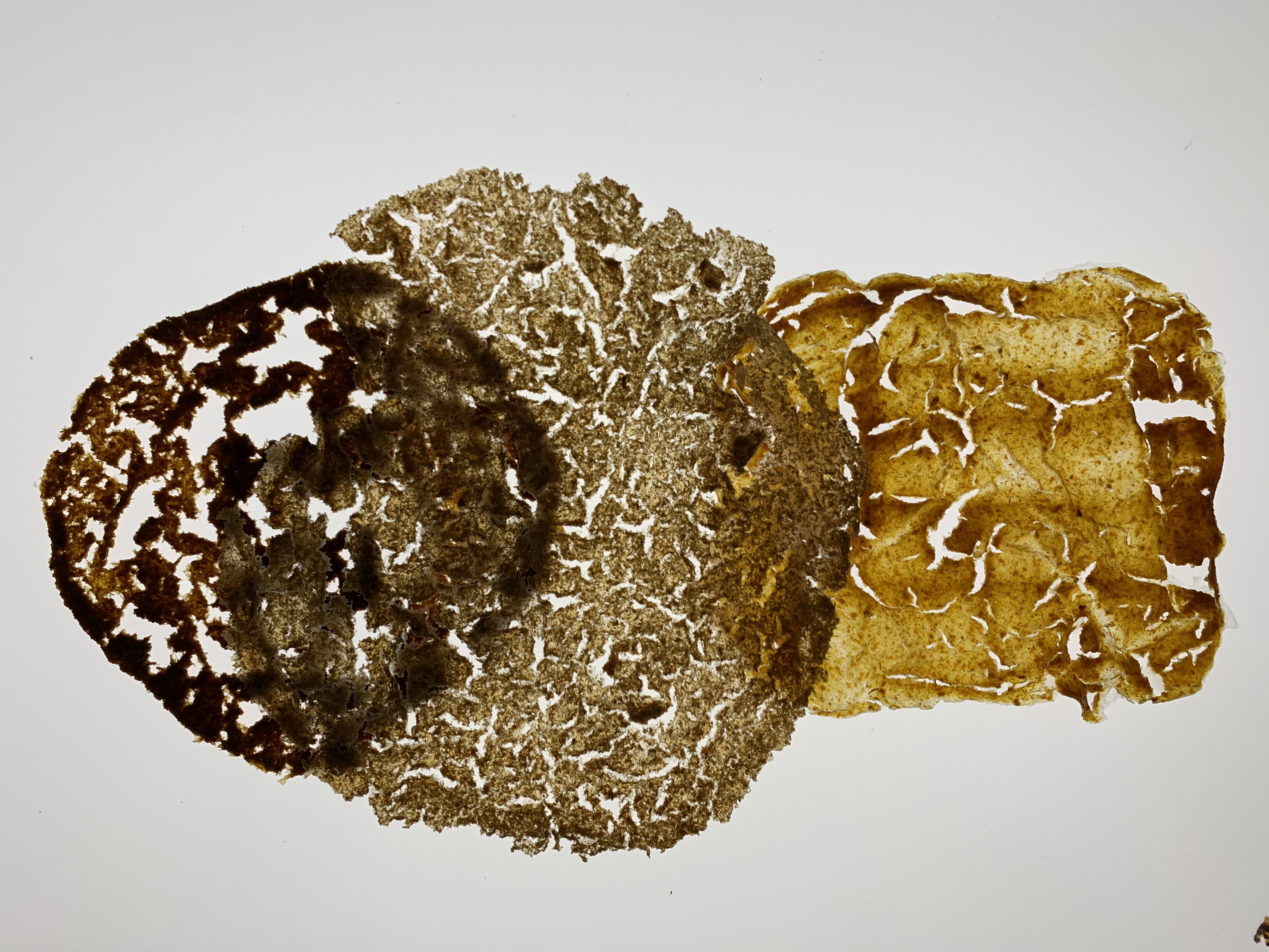 bioplastic art sample 2