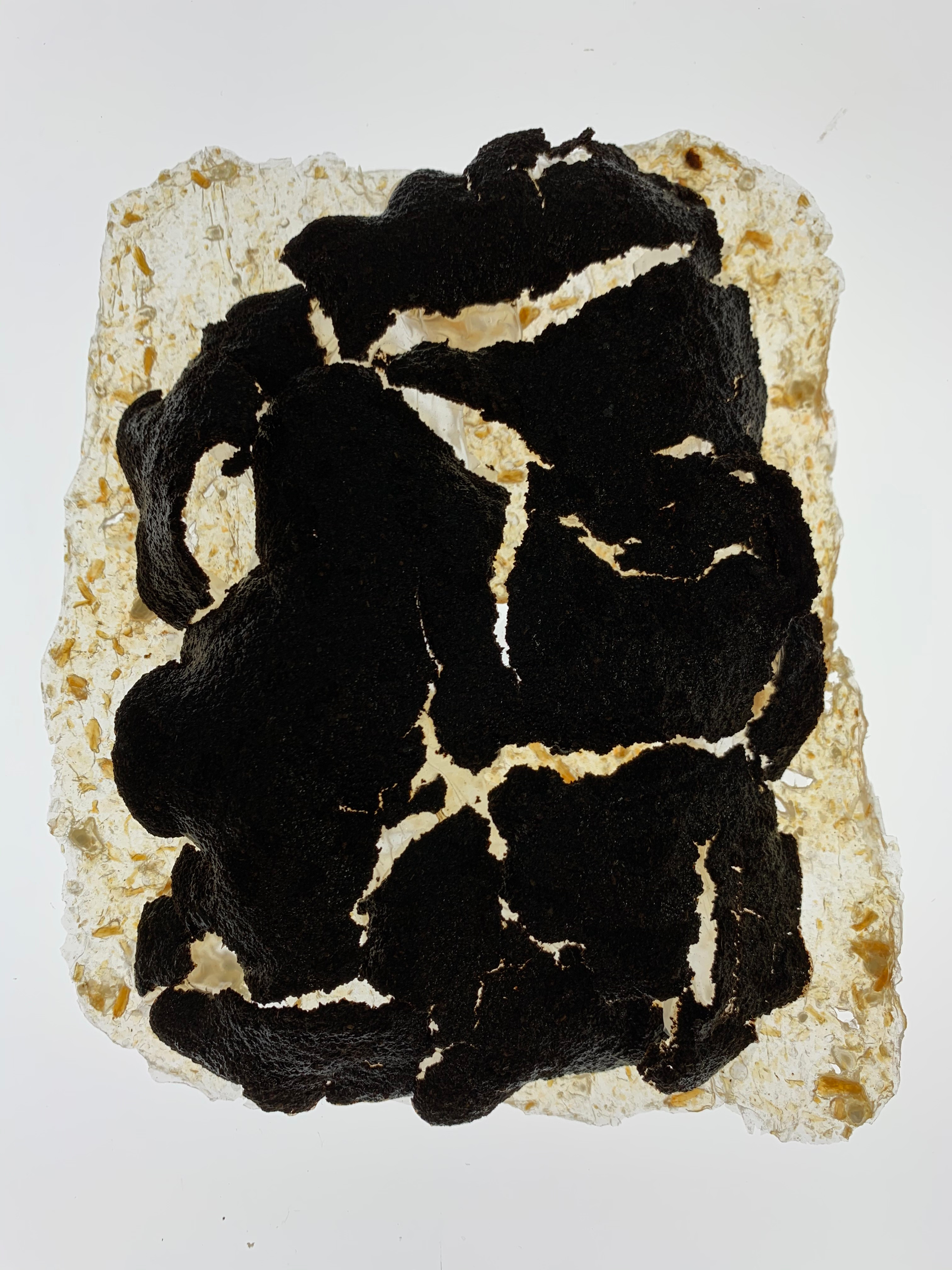 bioplastic art sample 1