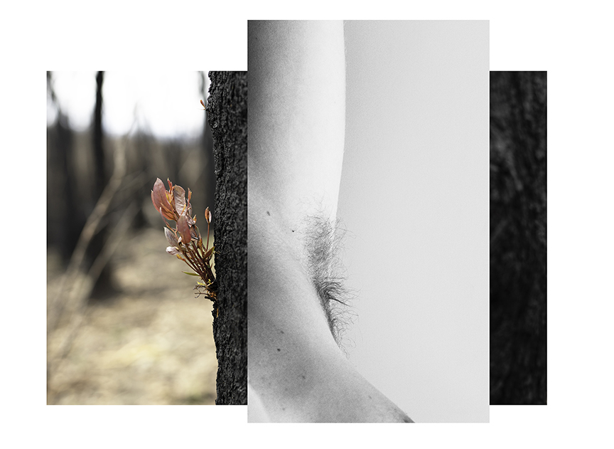 New Growth by Chelsea Call